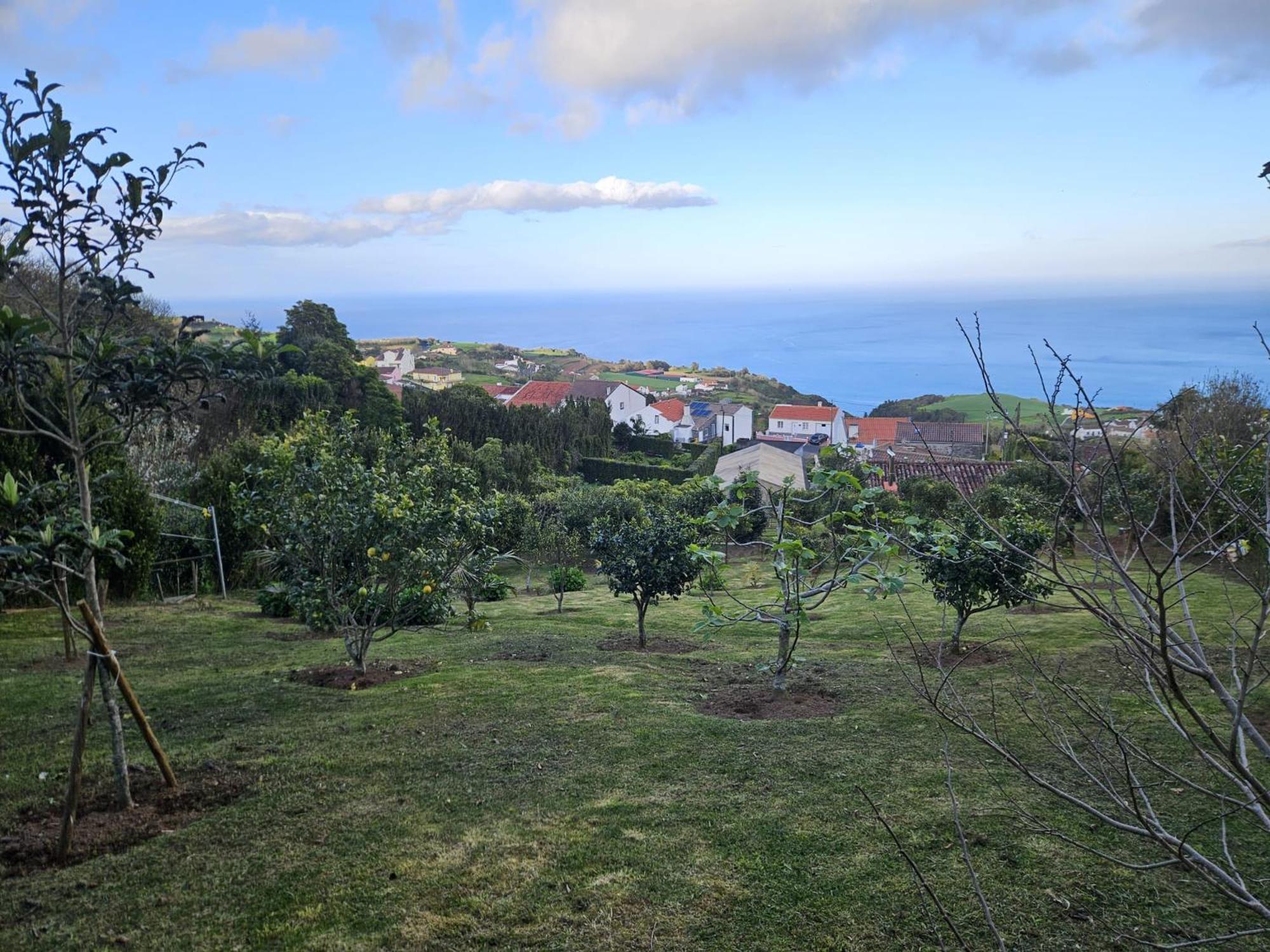 נורדסטה Casa Do Castanheiro - Nordeste, Acores מראה חיצוני תמונה